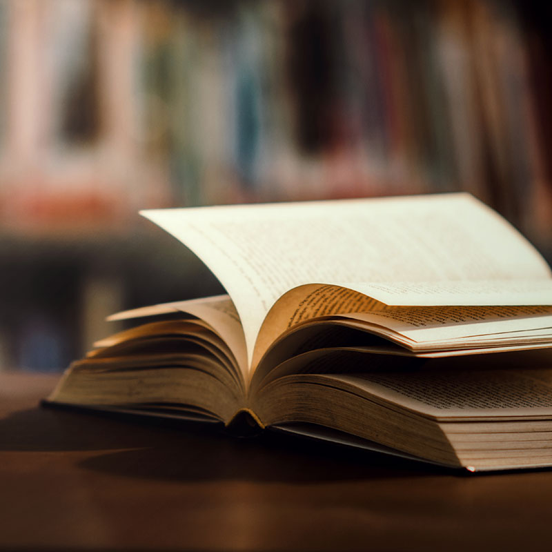 Feria del Libro